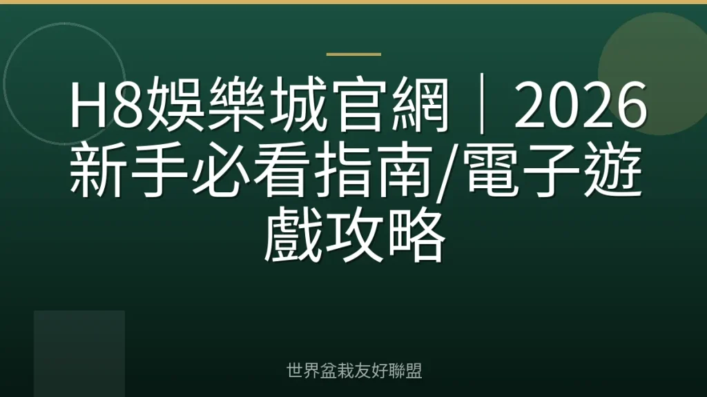 H8娛樂城官網|2026新手必看指南/電子遊戲攻略