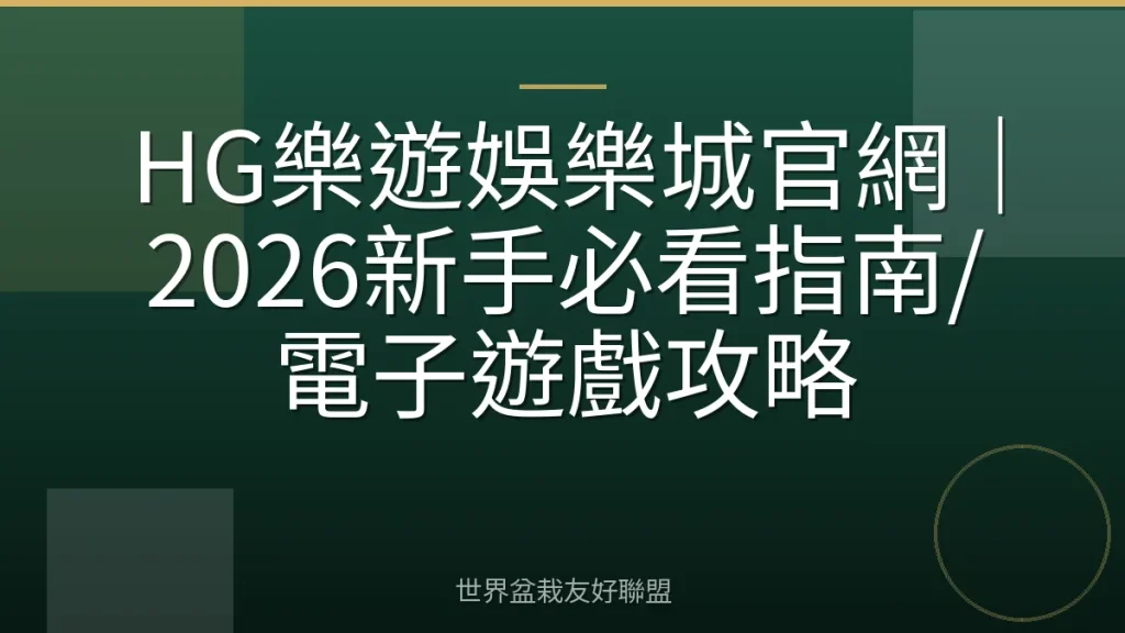 HG樂遊娛樂城官網|2026新手必看指南/電子遊戲攻略