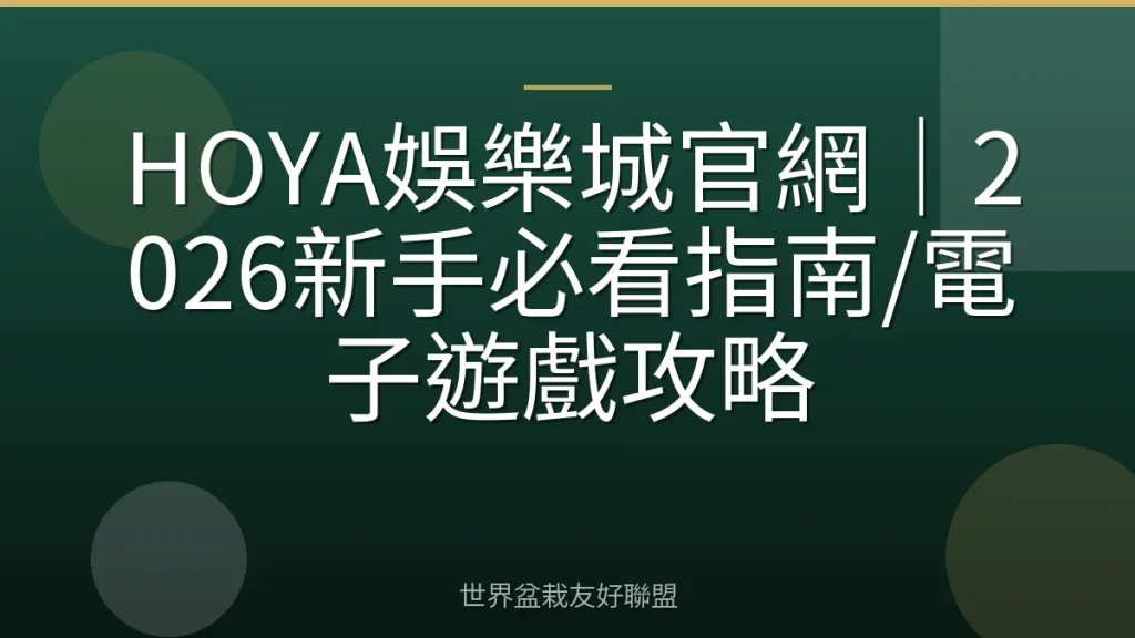 HOYA娛樂城官網｜2026新手必看指南/電子遊戲攻略