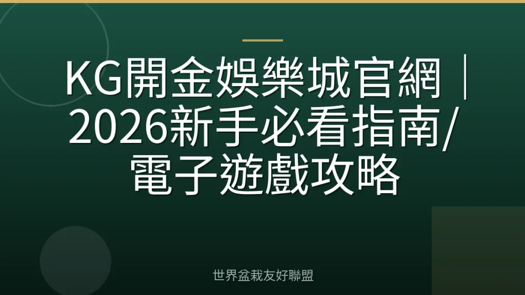 KG開金娛樂城官網|2026新手必看指南/電子遊戲攻略