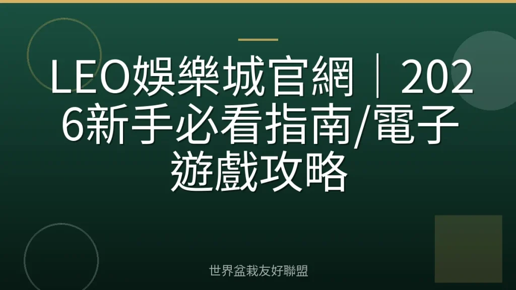 LEO娛樂城官網|2026新手必看指南/電子遊戲攻略