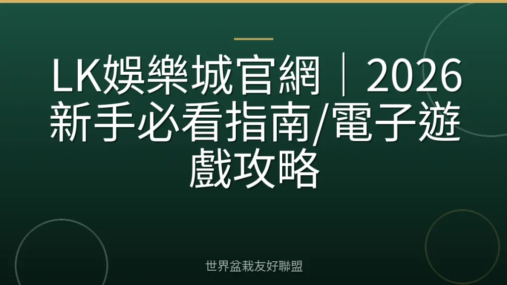 LK娛樂城官網|2026新手必看指南/電子遊戲攻略