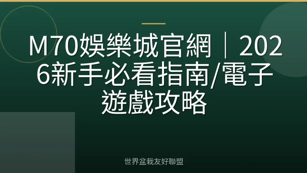 M70娛樂城官網|2026新手必看指南/電子遊戲攻略