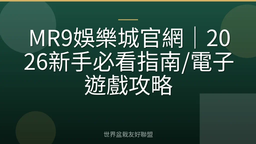 MR9娛樂城官網|2026新手必看指南/電子遊戲攻略