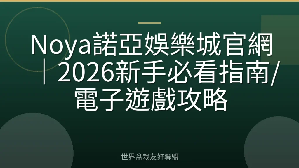 Noya諾亞娛樂城官網|2026新手必看指南/電子遊戲攻略