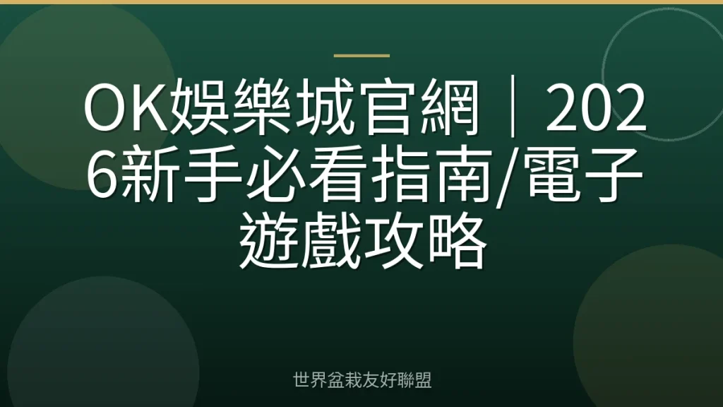 OK娛樂城官網|2026新手必看指南/電子遊戲攻略