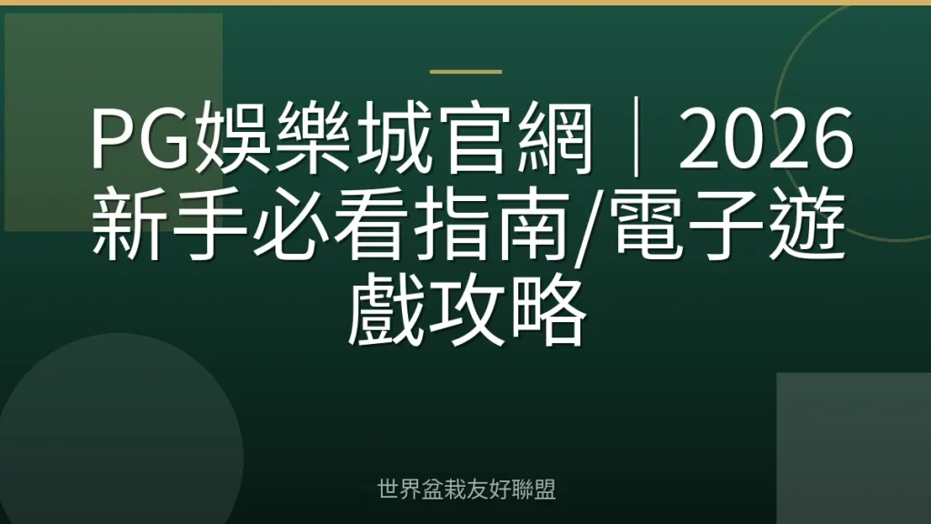 PG娛樂城官網|2026新手必看指南/電子遊戲攻略