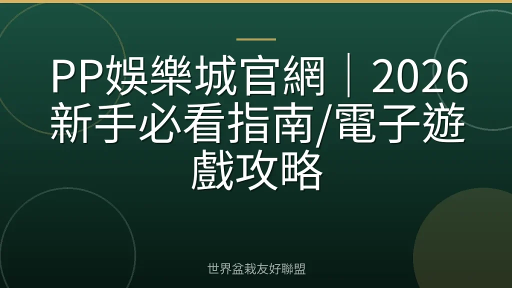 PP娛樂城官網｜2026新手必看指南/電子遊戲攻略
