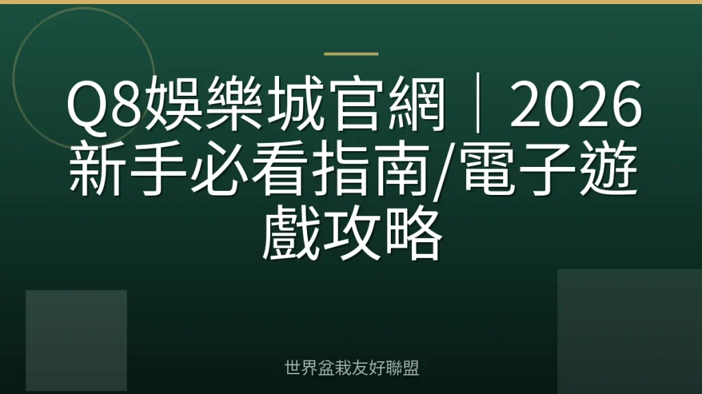 Q8娛樂城官網|2026新手必看指南/電子遊戲攻略