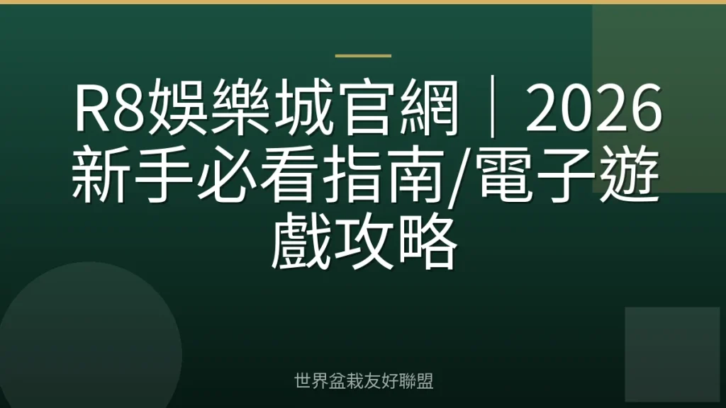 R8娛樂城官網｜2026新手必看指南/電子遊戲攻略