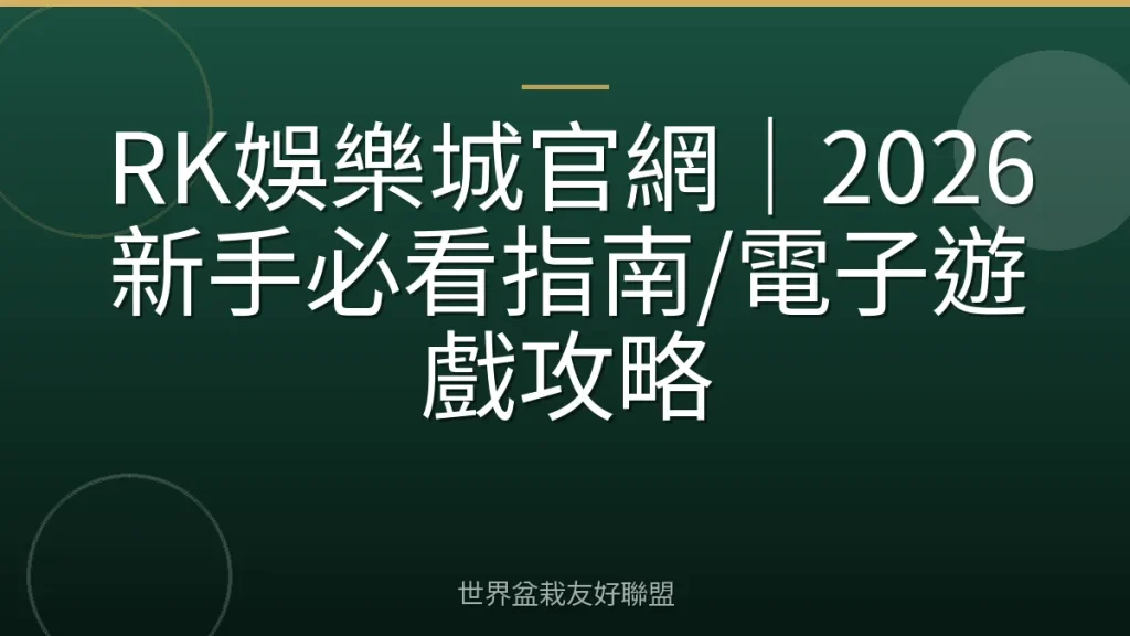 RK娛樂城官網|2026新手必看指南/電子遊戲攻略