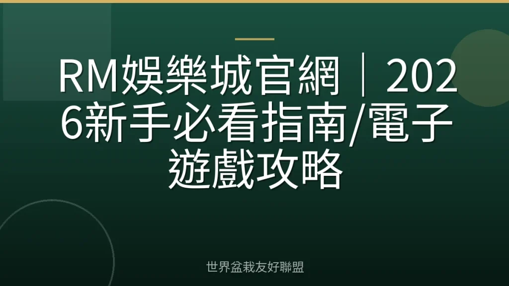 RM娛樂城官網|2026新手必看指南/電子遊戲攻略