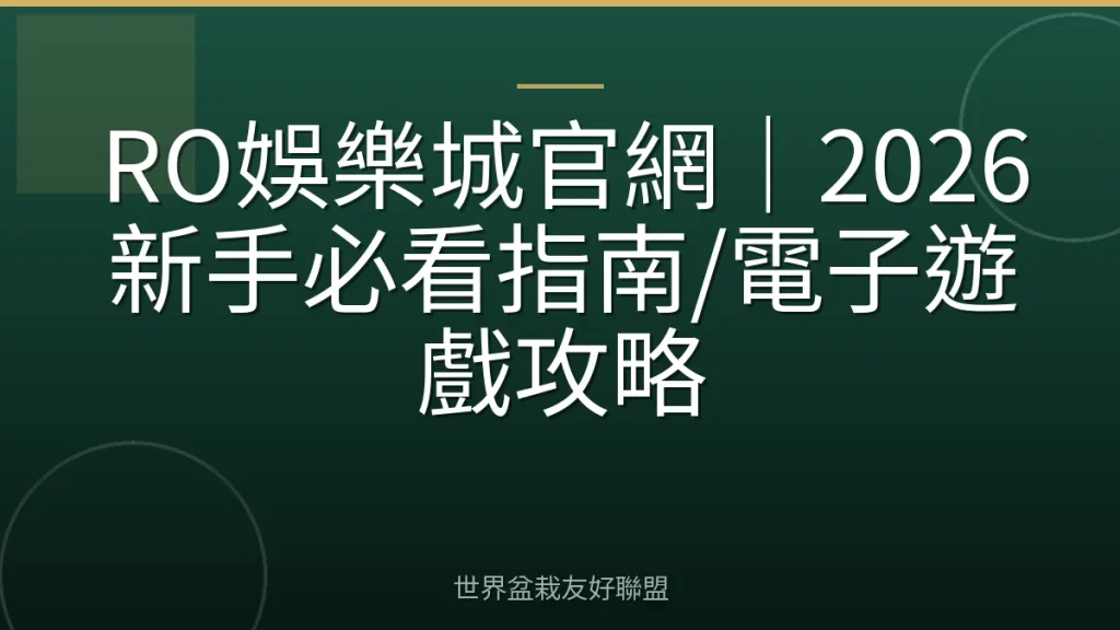 RO娛樂城官網|2026新手必看指南/電子遊戲攻略