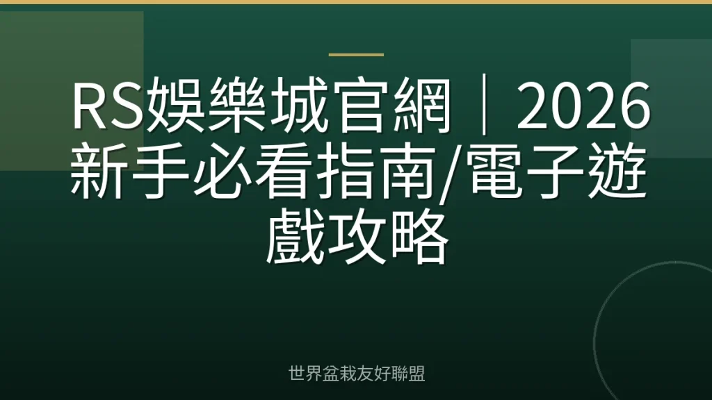 RS娛樂城官網|2026新手必看指南/電子遊戲攻略