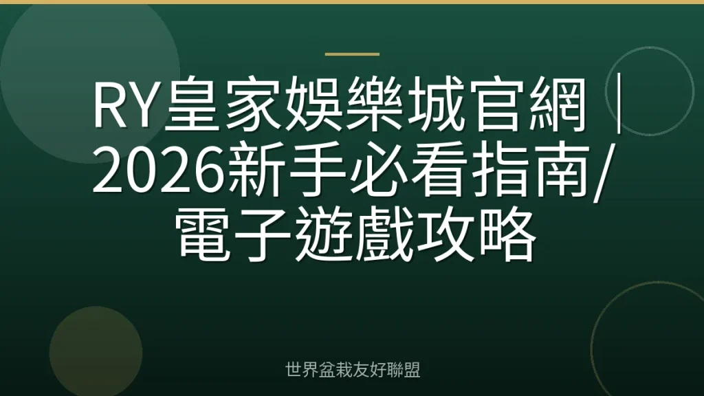 RY皇家娛樂城官網|2026新手必看指南/電子遊戲攻略
