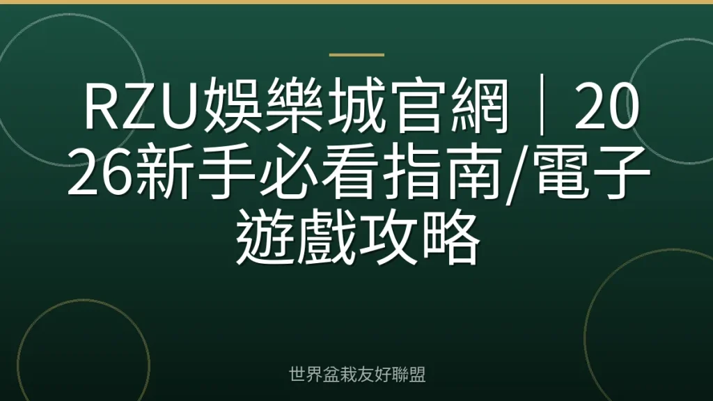 RZU娛樂城官網｜2026新手必看指南/電子遊戲攻略