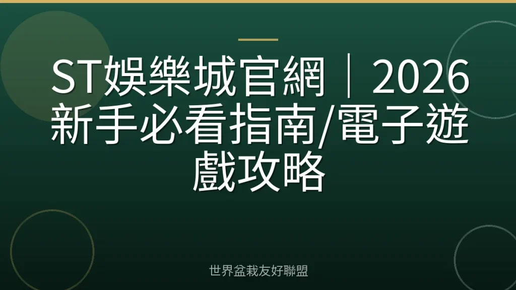 ST娛樂城官網|2026新手必看指南/電子遊戲攻略