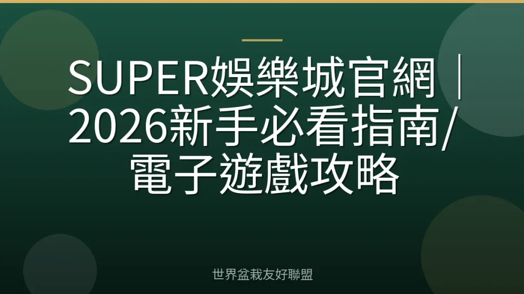 SUPER娛樂城官網|2026新手必看指南/電子遊戲攻略