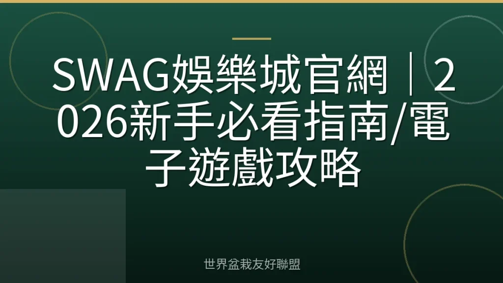 SWAG娛樂城官網｜2026新手必看指南/電子遊戲攻略