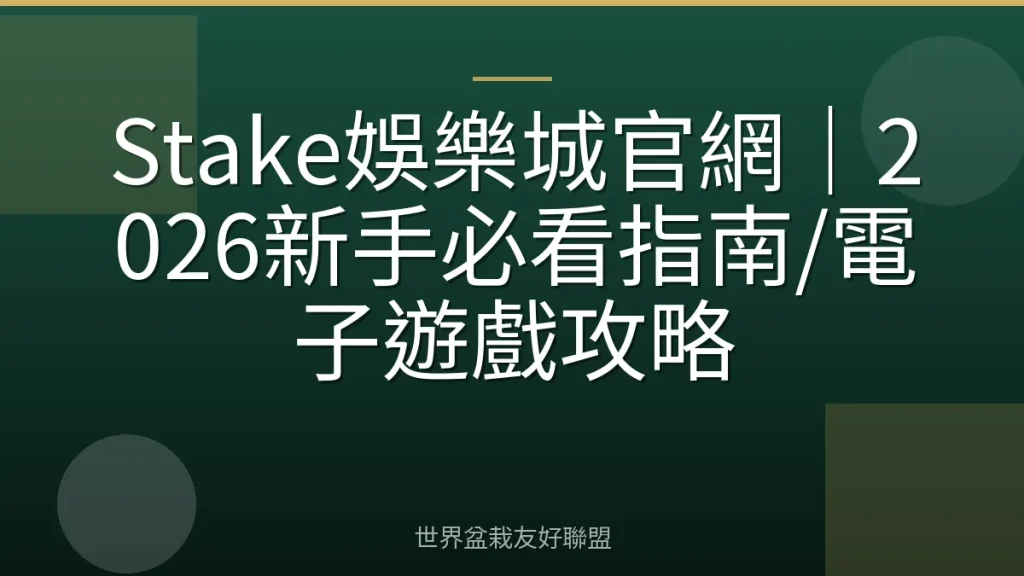 Stake娛樂城官網｜2026新手必看指南/電子遊戲攻略