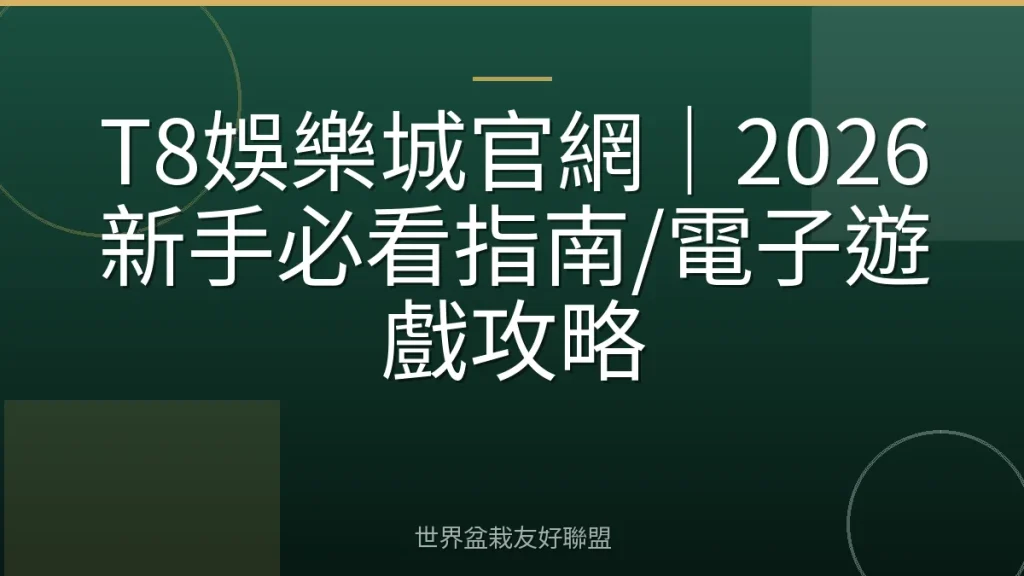 T8娛樂城官網｜2026新手必看指南/電子遊戲攻略