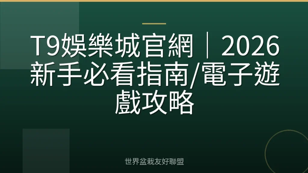 T9娛樂城官網|2026新手必看指南/電子遊戲攻略