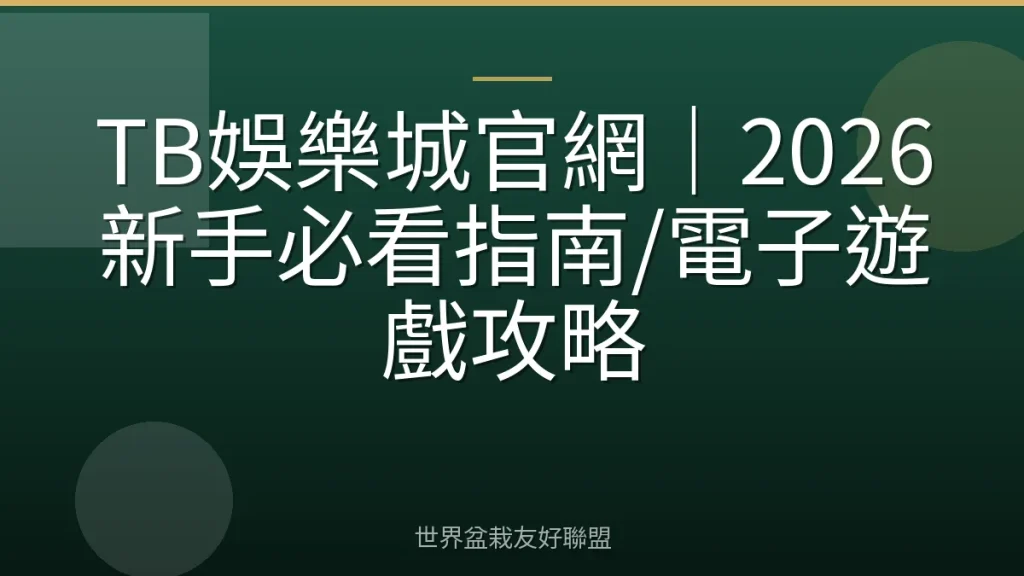TB娛樂城官網｜2026新手必看指南/電子遊戲攻略