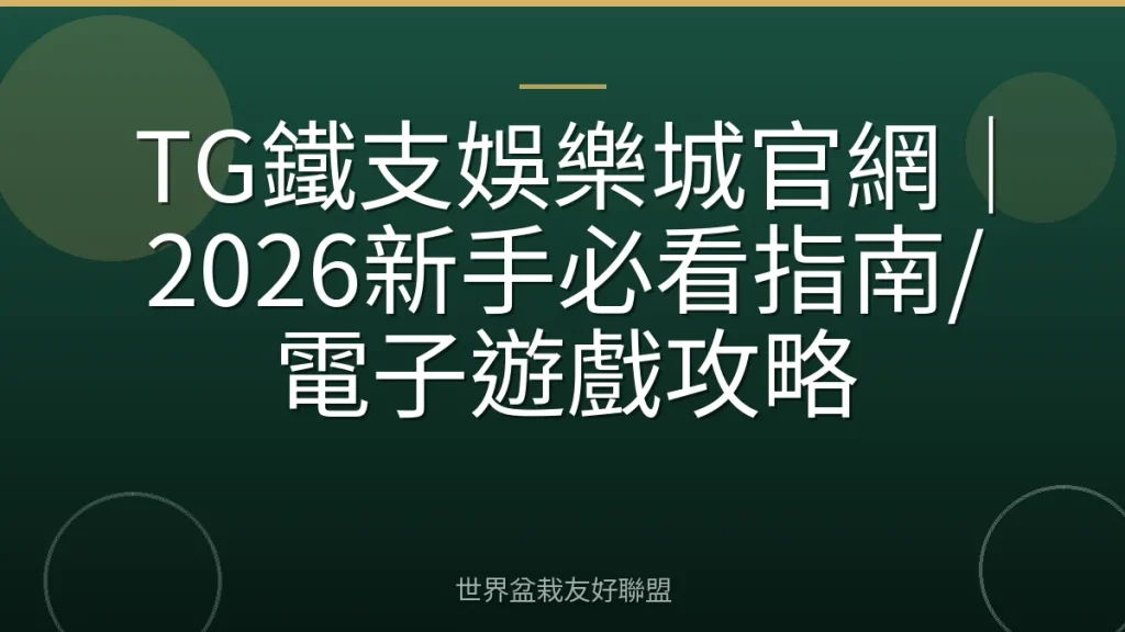 TG鐵支娛樂城官網｜2026新手必看指南/電子遊戲攻略