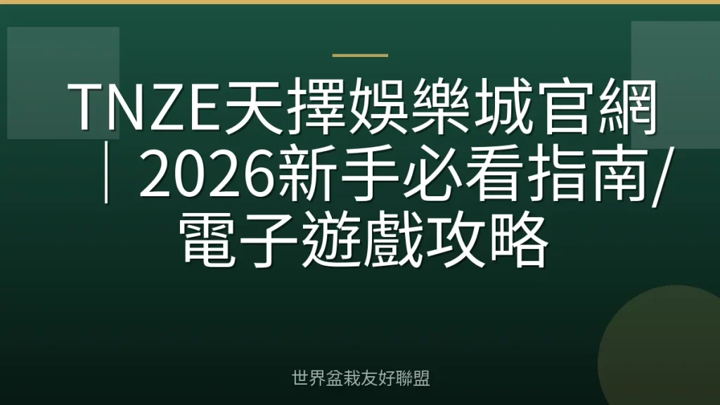 TNZE天擇娛樂城官網|2026新手必看指南/電子遊戲攻略