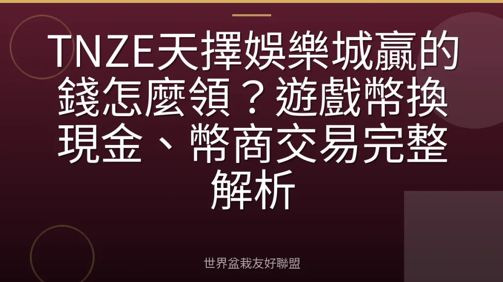 TNZE天擇娛樂城贏的錢怎麼領？遊戲幣換現金、幣商交易完整解析