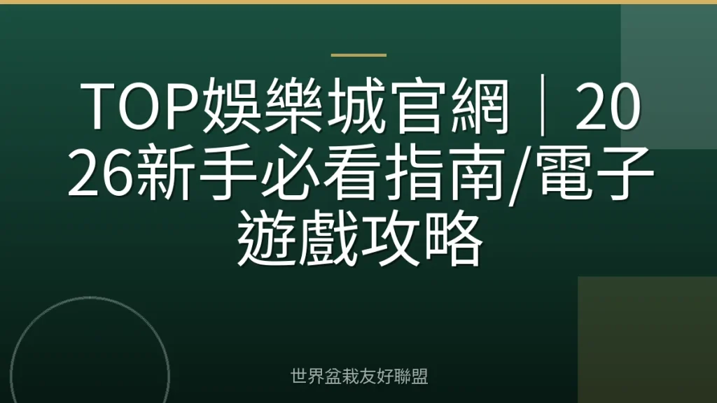 TOP娛樂城官網｜2026新手必看指南/電子遊戲攻略