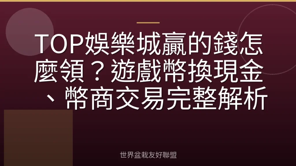 TOP娛樂城贏的錢怎麼領?遊戲幣換現金、幣商交易完整解析
