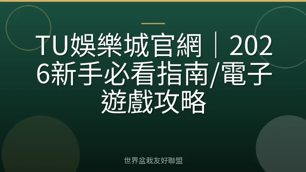 TU娛樂城官網｜2026新手必看指南/電子遊戲攻略