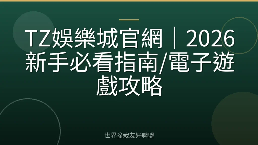 TZ娛樂城官網｜2026新手必看指南/電子遊戲攻略