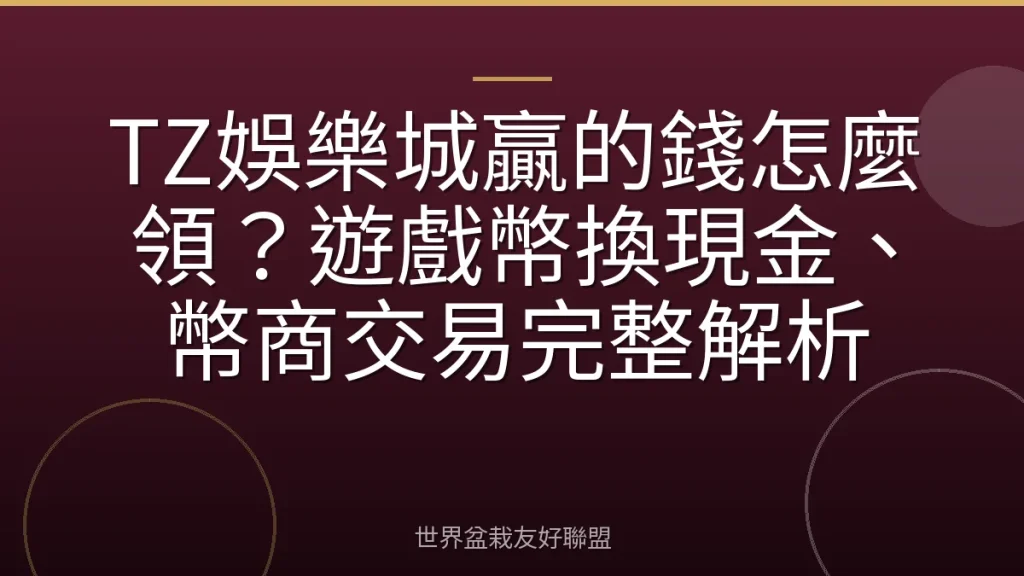 TZ娛樂城贏的錢怎麼領?遊戲幣換現金、幣商交易完整解析
