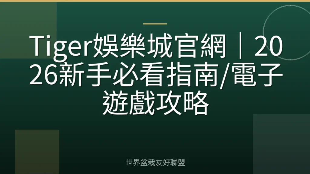 Tiger娛樂城官網|2026新手必看指南/電子遊戲攻略