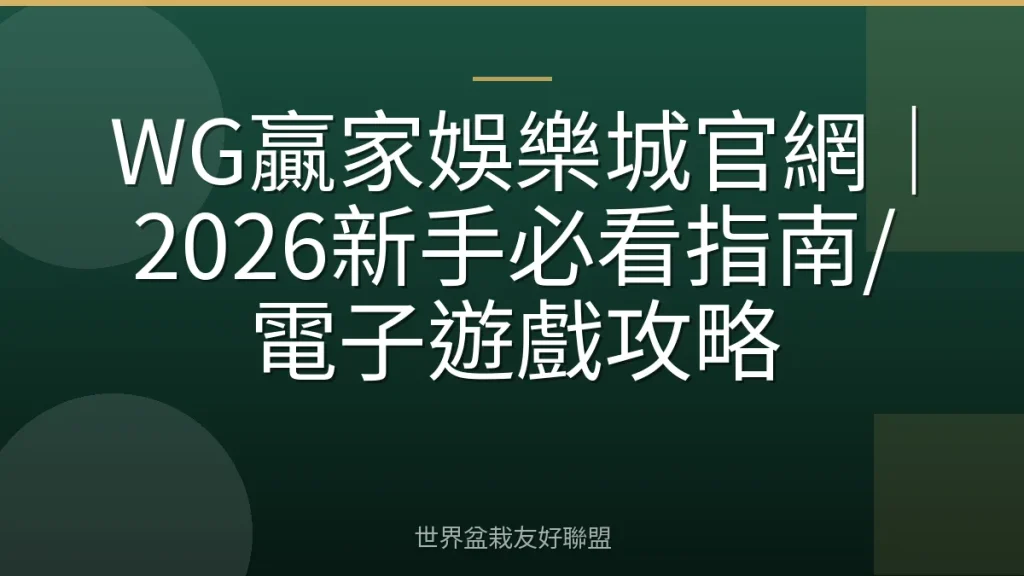 WG贏家娛樂城官網|2026新手必看指南/電子遊戲攻略
