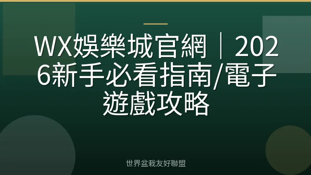 WX娛樂城官網｜2026新手必看指南/電子遊戲攻略
