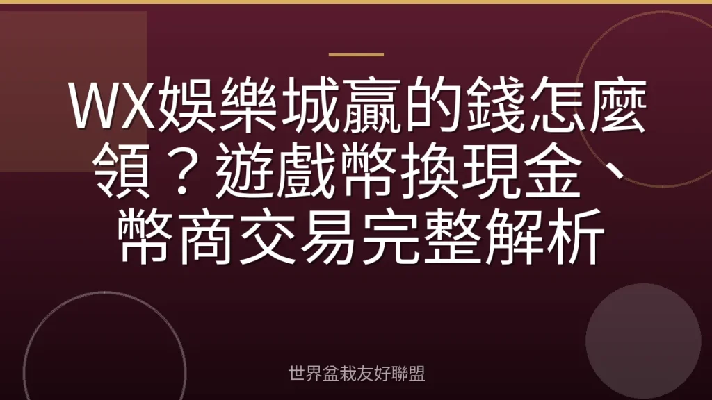 WX娛樂城贏的錢怎麼領?遊戲幣換現金、幣商交易完整解析