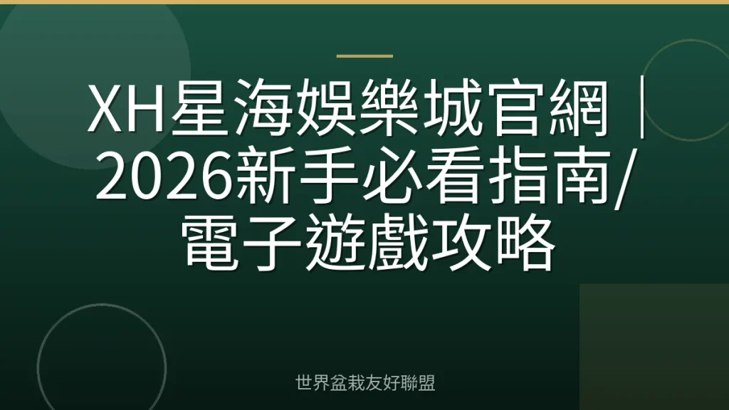 XH星海娛樂城官網｜2026新手必看指南/電子遊戲攻略