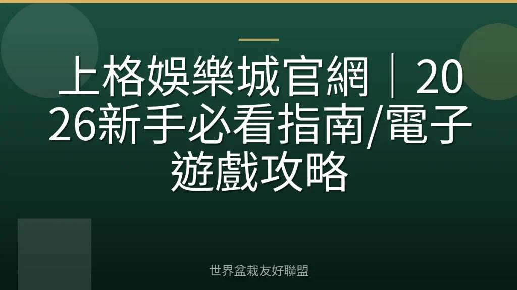 上格娛樂城官網|2026新手必看指南/電子遊戲攻略