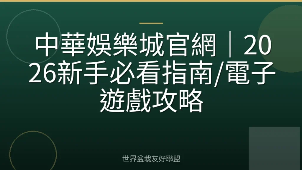 中華娛樂城官網|2026新手必看指南/電子遊戲攻略