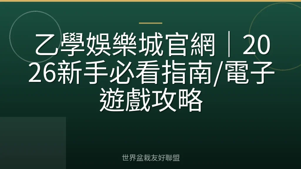 乙學娛樂城官網|2026新手必看指南/電子遊戲攻略