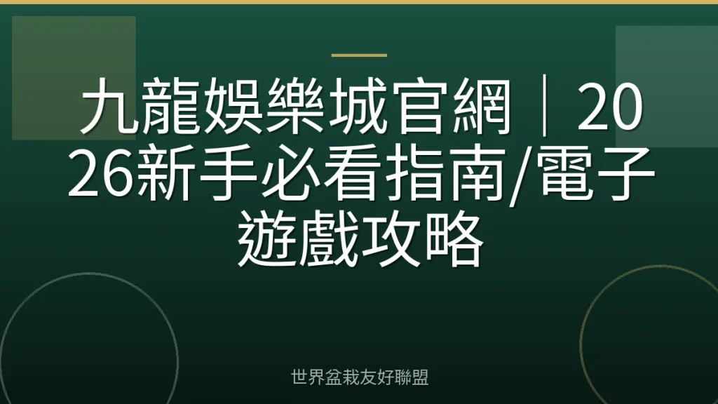 九龍娛樂城官網｜2026新手必看指南/電子遊戲攻略