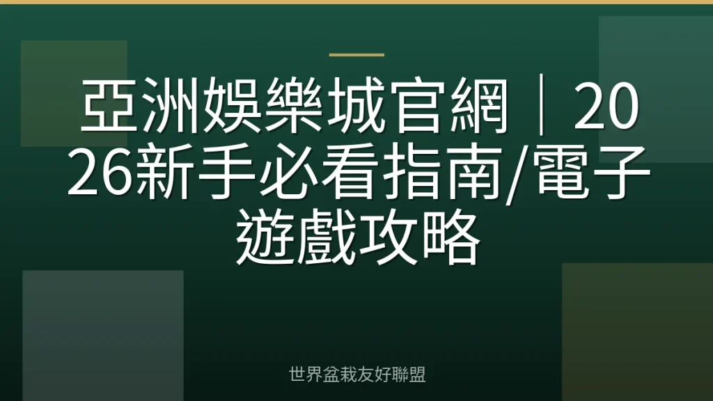 亞洲娛樂城官網|2026新手必看指南/電子遊戲攻略