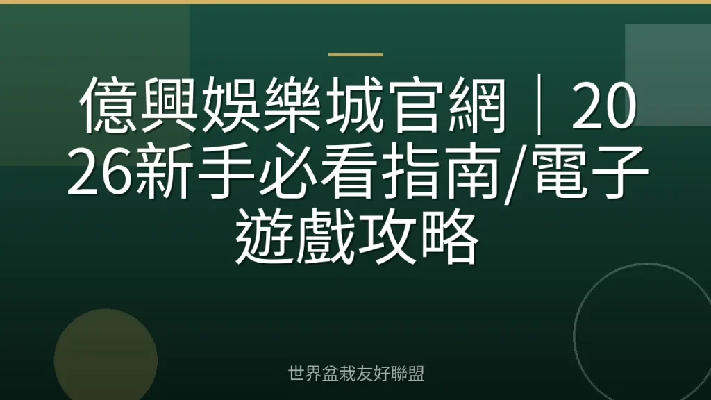億興娛樂城官網｜2026新手必看指南/電子遊戲攻略