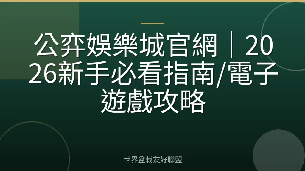 公弈娛樂城官網｜2026新手必看指南/電子遊戲攻略