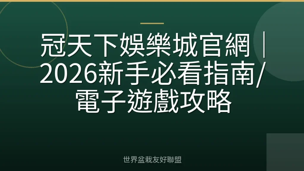 冠天下娛樂城官網|2026新手必看指南/電子遊戲攻略