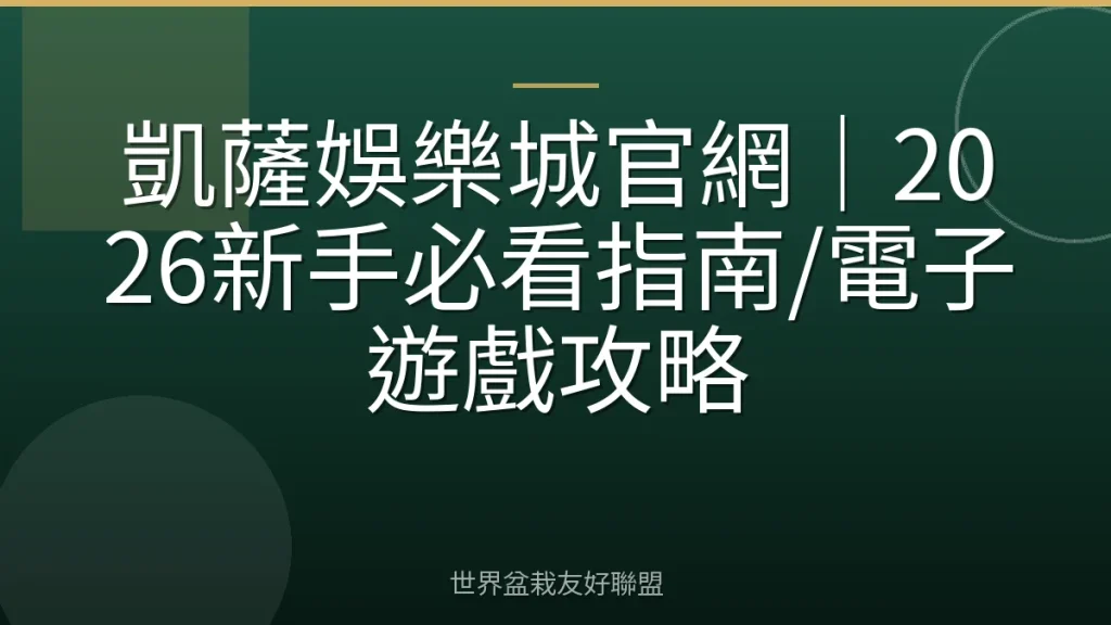 凱薩娛樂城官網|2026新手必看指南/電子遊戲攻略