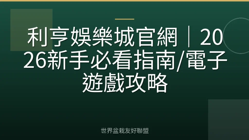 利亨娛樂城官網|2026新手必看指南/電子遊戲攻略